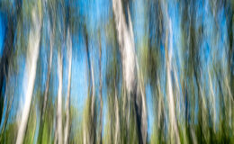 016 - pb - in den sevennen